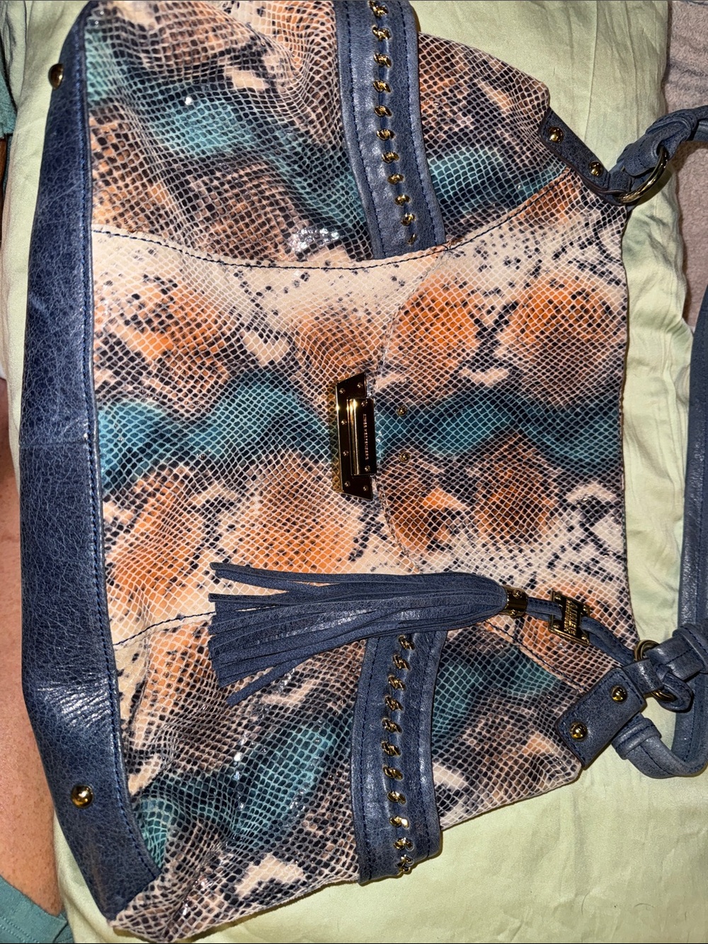 Aimee Kestenberg Blue, Brown and Orange Snake-Print Shoulder Hobo with Tassel